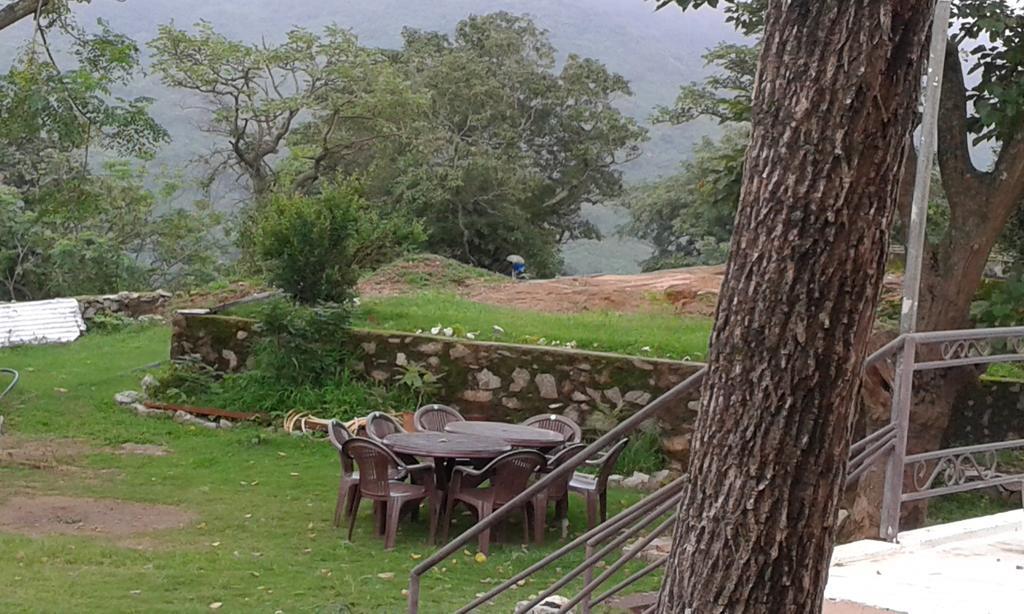 Forest Eco Lodge Ábú-hegy Kültér fotó