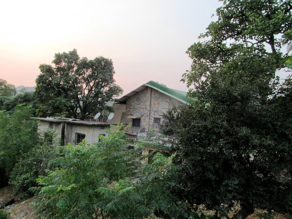 Forest Eco Lodge Ábú-hegy Kültér fotó