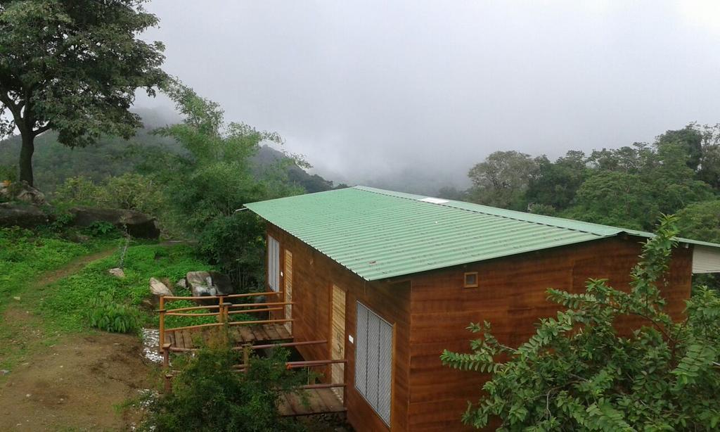 Forest Eco Lodge Ábú-hegy Kültér fotó