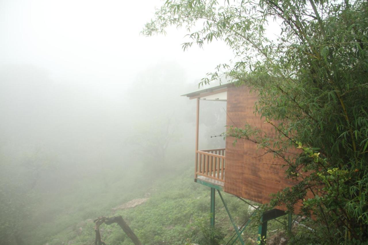 Forest Eco Lodge Ábú-hegy Kültér fotó