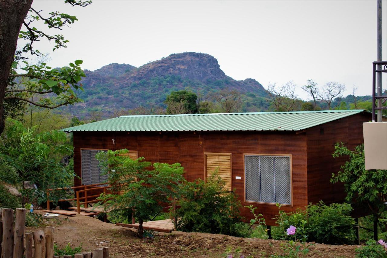 Forest Eco Lodge Ábú-hegy Kültér fotó