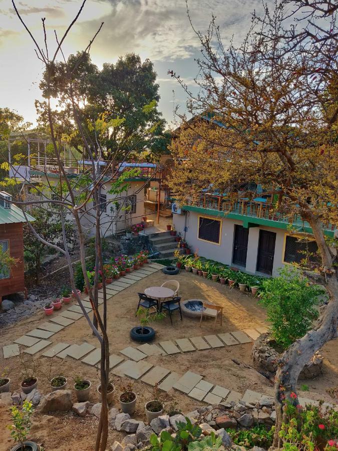 Forest Eco Lodge Ábú-hegy Kültér fotó
